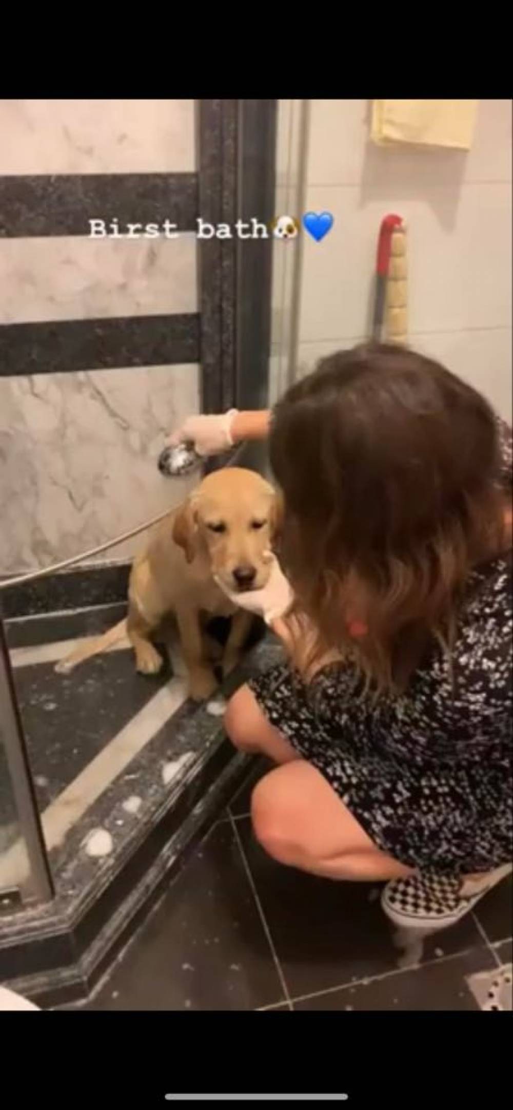 Մարիամ Փաշինյանն առաջին անգամ լողացնում է իր՝ Մոլի անունով շանը (տեսանյութ)