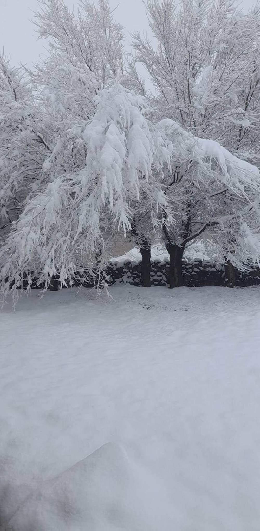 Մայիսյան ձմեռ․ Գագիկ Սուրենյանը լուսանկար է հրապարակել