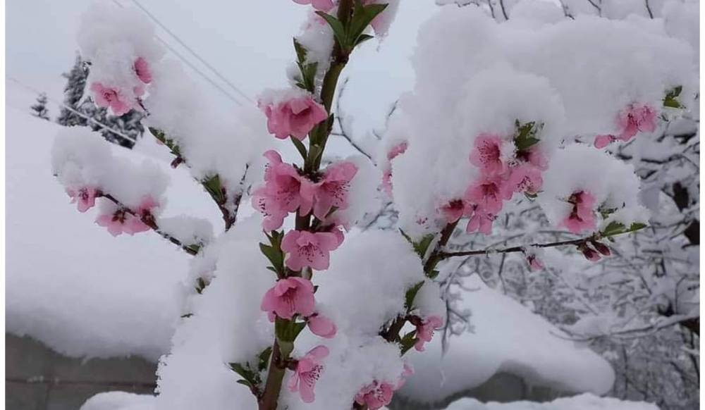 Ղուկասյանում և Ամասիայում ձյուն է տեղում