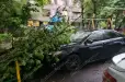 Ուժեղ քամու հետևանքով ծառի ճյուղը պոկվել և ընկել է կայանված «Toyota Camry»-ի վրա