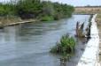 Ջրանցքում խեղդված 16-ամյա տղան ջուրն է ընկել հովվի հետ, ով ևս մահացել է