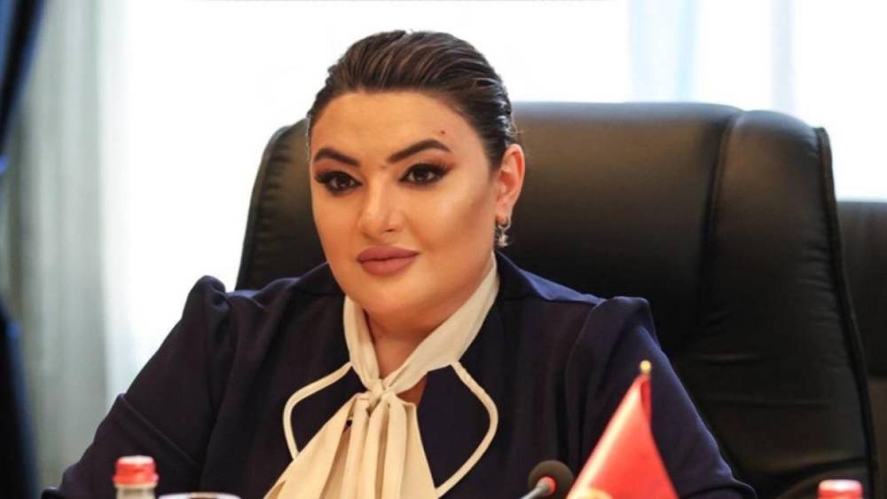 Մարդու մահվան մասին նախարարությունն օգտագործել էր անմարդկային ձևակերպում՝ «ինքնավնասման ավարտուն գործողություն». Իվետա Տոնոյան