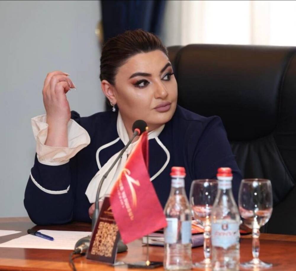 «Դիվանագիտությունը արկածախնդրություն չէ». ԲՀԿ խոսնակ Իվետա Տոնոյանը՝ Փաշինյանին