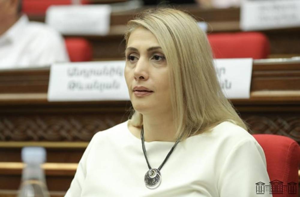 Հեռախոս ունենալը դեռ իրականությունը տեսնելու երաշխիք չէ. Էլինար Վարդանյան