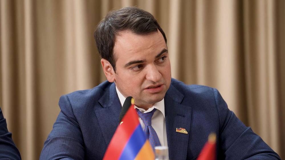 Հաջորդ իշխանությունները զենքը նվեր են ստանալու. Նարեկ Կարապետյան