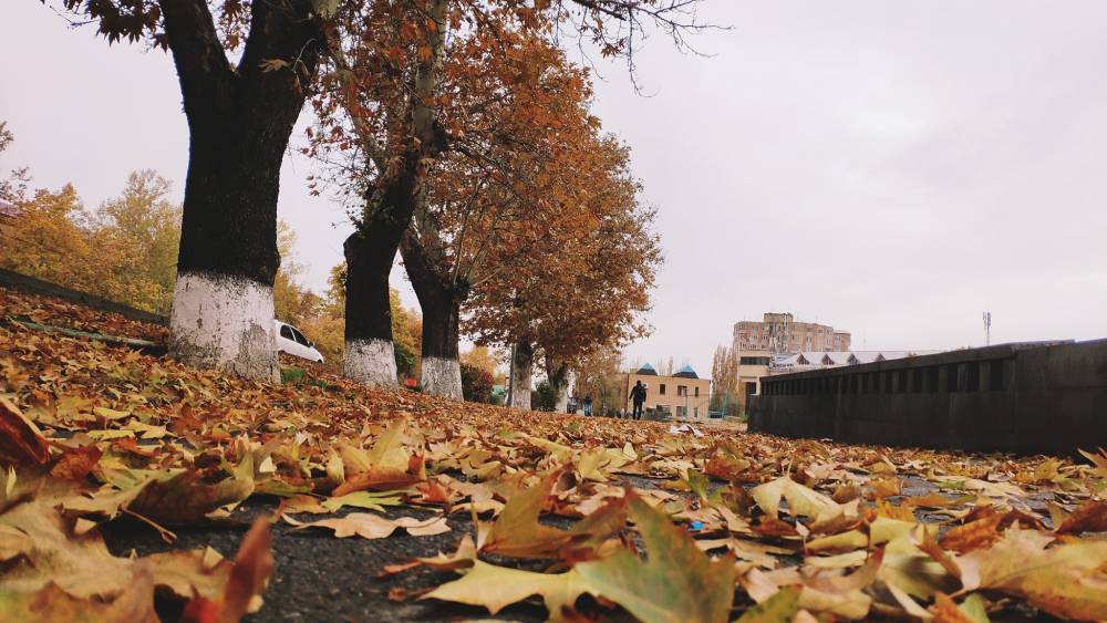 Առաջիկա 5 օրերին՝ առանց տեղումների եղանակ