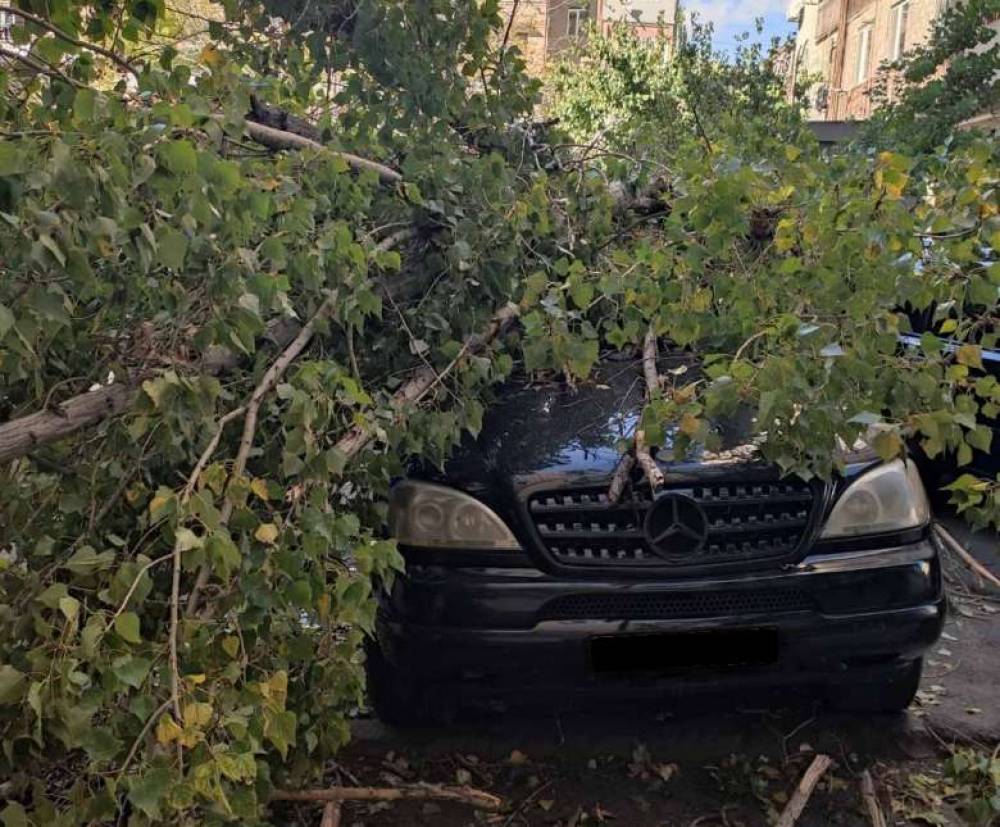 Երևանում քամու հետևանքով ծառը արմատախիլ է եղել և ընկել ավտոմեքենայի վրա