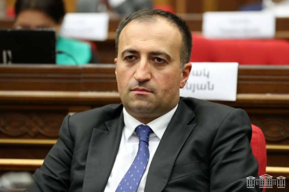 Սահմանեք ժամկետ, չամրակապման նկատմամբ հանդուրժողականություն չպետք է դրսևորվի․ Թորոսյանը՝ ՆԳ նախարարին