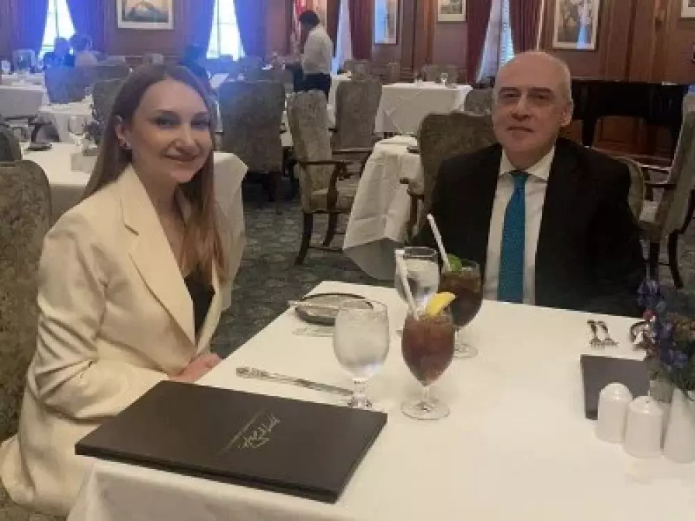 Լիլիթ Մակունցը հանդիպել է ԱՄՆ-ում Վրաստանի դեսպանի հետ. քննարկել են տարածաշրջանում խաղաղության հարցը