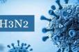 Հայաստանում հաստատվել է գրիպ A-ի H3N2 ենթատեսակը