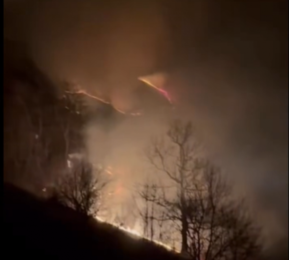 «Դիլիջան» ազգային պարկի տարածքում հրդեհը միմիայն ավելի է ուժգնանում․ վտանգ կա, որ կրակը կարող է հասնել Սեմյոնովկա բնակավայր․ Գառնիկ Դանիելյան (տեսանյութ)