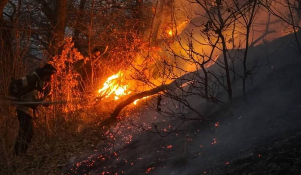 Տավուշի մարզի խոտածածկ և բուսածածկ տարածքներում բռնկված հրդեհները մարված են