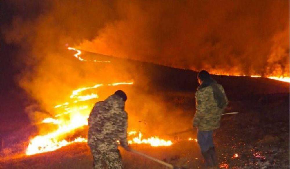 Այրվում են Դիլիջան ազգային պարկի անտառները․ կրակը ուժգնորեն տարածվում է, հրդեհաշիջման աշխատանքները չեն տալիս իրենց արդյունքը․ Դանիելյան