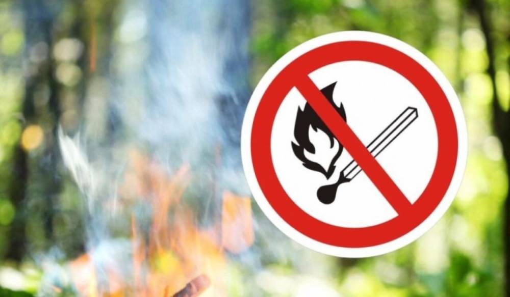 Սեզոնին բնորոշ չոր և երբեմն քամոտ եղանակային պայմանների հետևանքով էապես բարձրացել է հրդեհների առաջացման վտանգը․ «Դիլիջան» ազգային պարկ