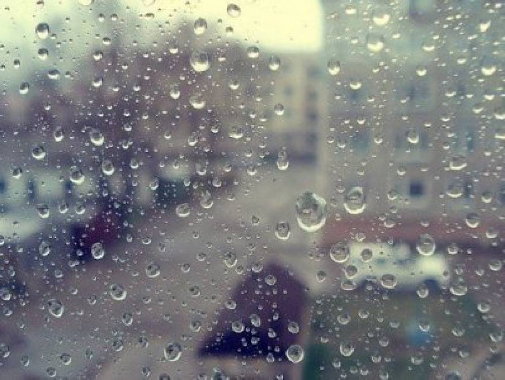 Дождливый дневник. Дождь поливает с ведра. Прогноз на сегодня. В каждой Дождинке дождевые капли.