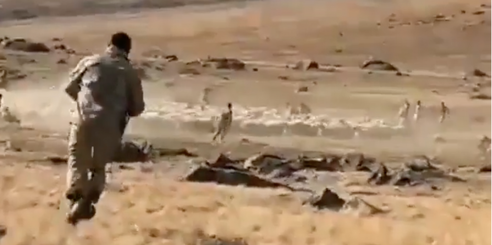 Տեսանյութ.Ինչպես են ադրբեջանցի զինվորականները ոչխարի հոտ գողանում Հայաստանի տարածքից