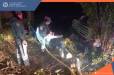Երևան-Սևան ավտոճանապարհին բեռնատար ավտոմեքենան դուրս է եկել ճանապարհի երթևեկելի հատվածից և հայտնվել ծառերի արանքում