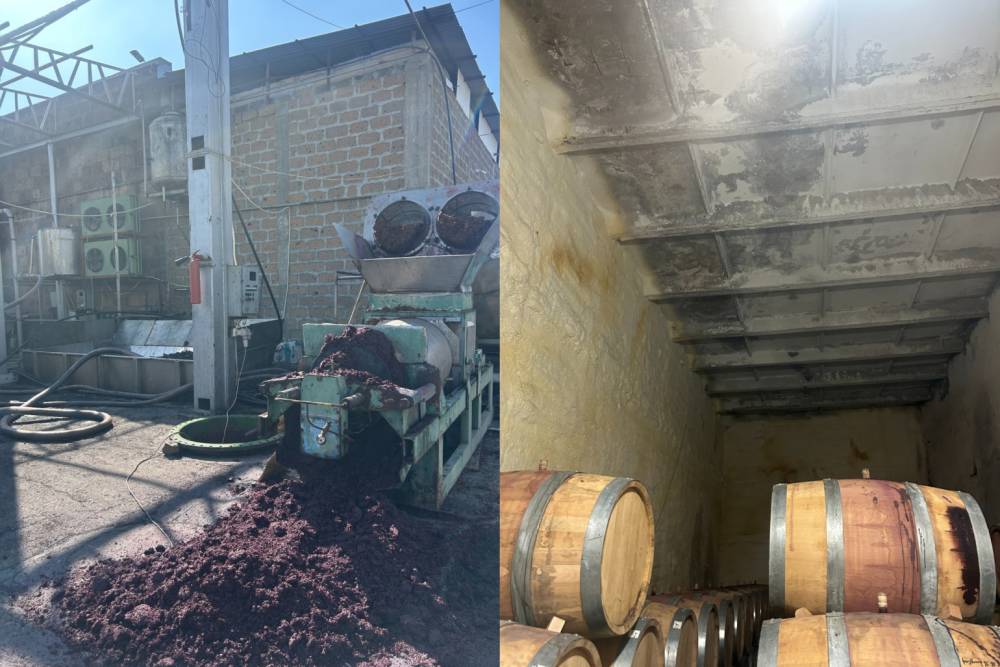 Կասեցվել է «Գրեգորիան» ՍՊԸ-ի գինnւ արտադրամասի արտադրական գործունեությունը