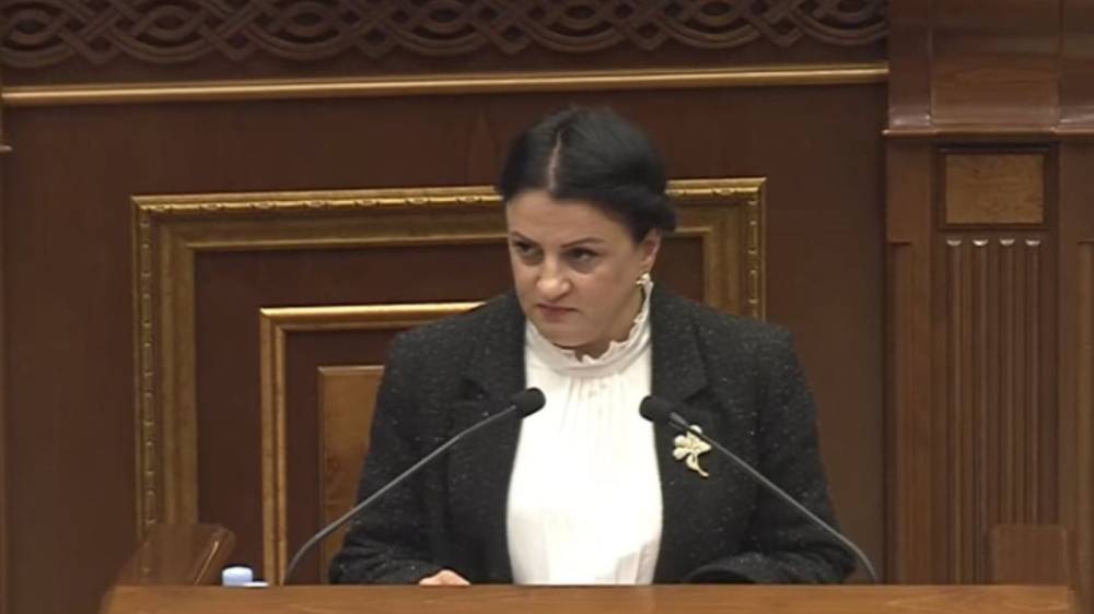 Ի՞նչ է իրականում շահելու Հայաստանը «ԹՐԻՓՓ» -ից, ո՞ւր է ձեր 430 դրամանոց բենզինը․ Իրինա Յոլյան