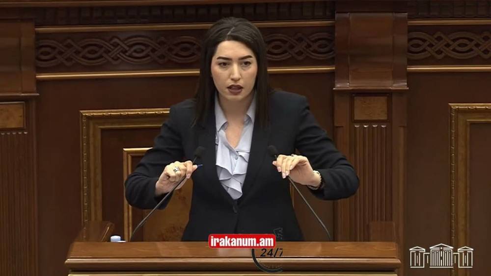 Այս տարվա սեպտեմբերի տվյալներով գրանցվել է կրկնակի բռնության 93 դեպք․ ՆԳ նախարար