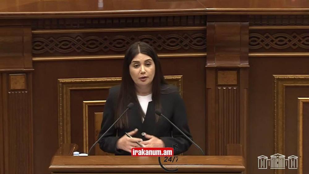 Ո՞վ է կապել ձեր աչքերը, նայեք Արարատին. ՔՊ-ական պատգամավորը մուննաթ եկավ ԱԺ ամբիոնից