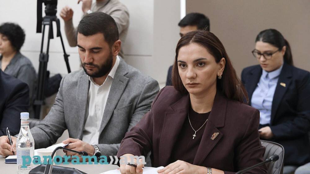Անհետ կորածների ծնողները բողոքեցին՝ ինչու են իրենց ԴՆԹ անալիզները հանձնվել Ադրբեջանին առանց իրենց իմացության. Հովսեփյան