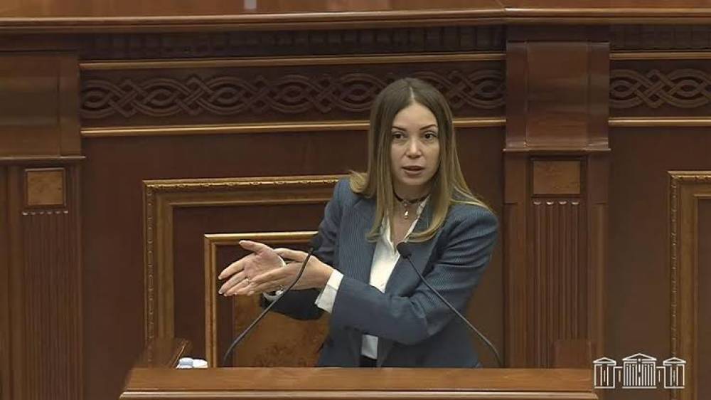 «Հայաստան» խմբակցությունը դեմ է քվեարկելու ԹՐԻՓՓ համաձայնագրի վավերացման նախագծին