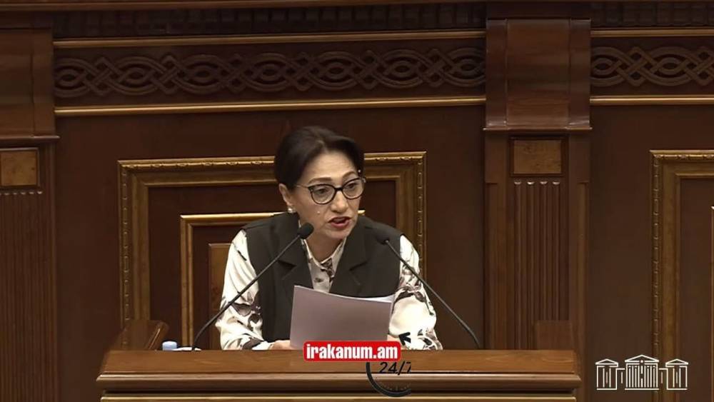 Եթե այդքան ծանր է բռնության վիճակը, ինչո՞ւ են նախագծի կարևոր դրույթներն ուժի մեջ մտնում 2028-ից