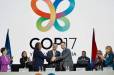 Համբարձում Մաթևոսյանն ընտրվել է COP17-ի նախագահ