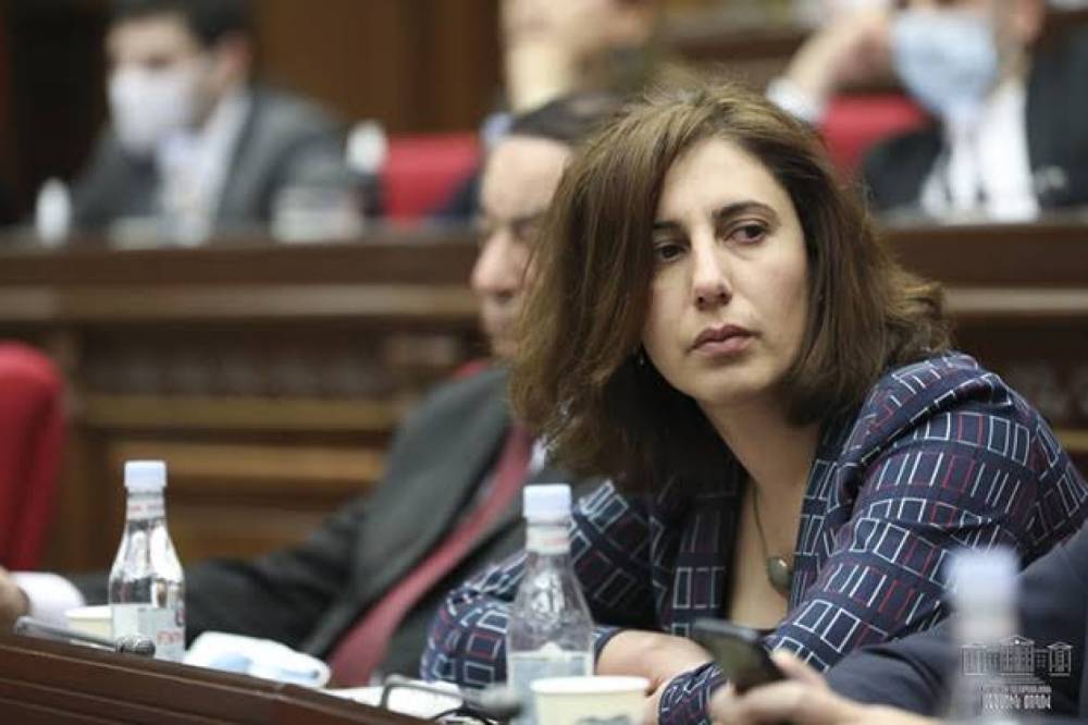Նիկոլ Փաշինյանը խրախուսում է բռնությունը. Սոֆյա Հովսեփյան