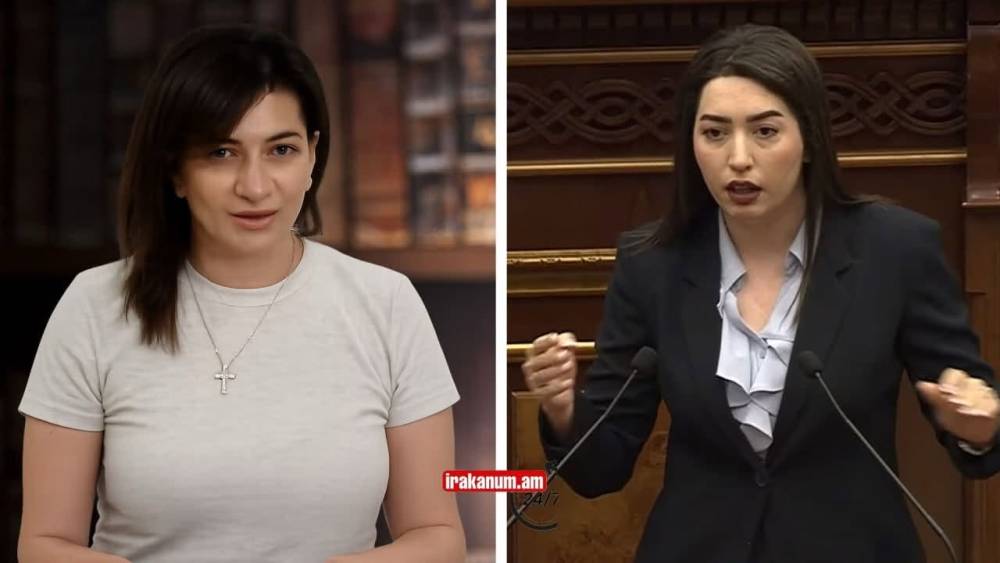 Նախաձեռնությունը մշակել է Աննա Հակոբյանը ընտանեկան բռնության դեմ պայքարի արշավի շրջանակներում