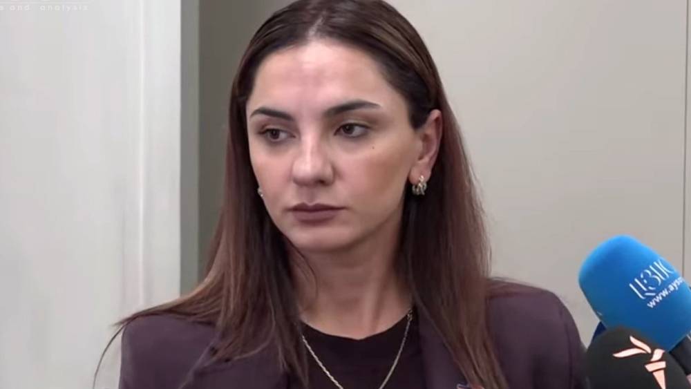 ՔՊ-ն չցանկացավ, որ մենք մասնակցենք արgախgիների հետ իրենց նախաձեռնած քննարկմանը. Արեգա Հովսեփյան