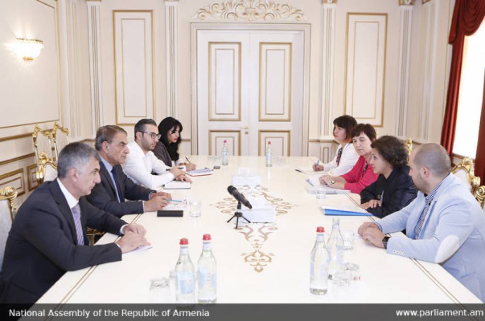 Ա. Բաբլոյանը ՄԱԿ-ի մանկական հիմնադրամի ներկայացուցիչների հետ առողջապահական ծրագրերին առնչվող հարցեր է քննարկել