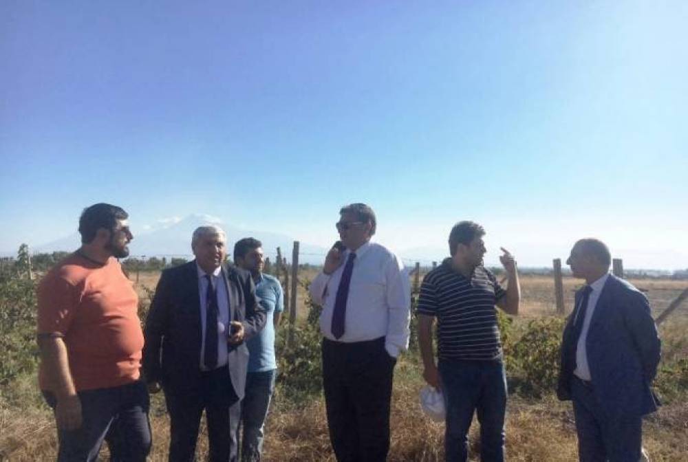 Գյուղատնտեսության նախարարն այցելել է ընտանեկան գինեգործության «Ագրոմենեջմենտ» ընկերություն