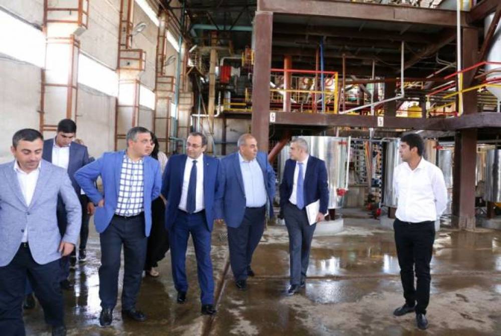 Սեւանի շաքարի գործարանը կվերագործարկվի 75-80 աշխատատեղով