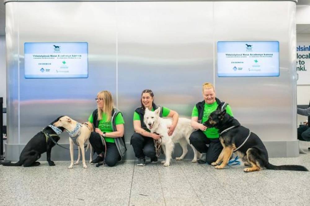 Հելսինկիի օդանավակայանում կորոնավիրուսով վարակվածներին հայտնաբերում են հատուկ վարժեցված շները (լուսանկարներ)