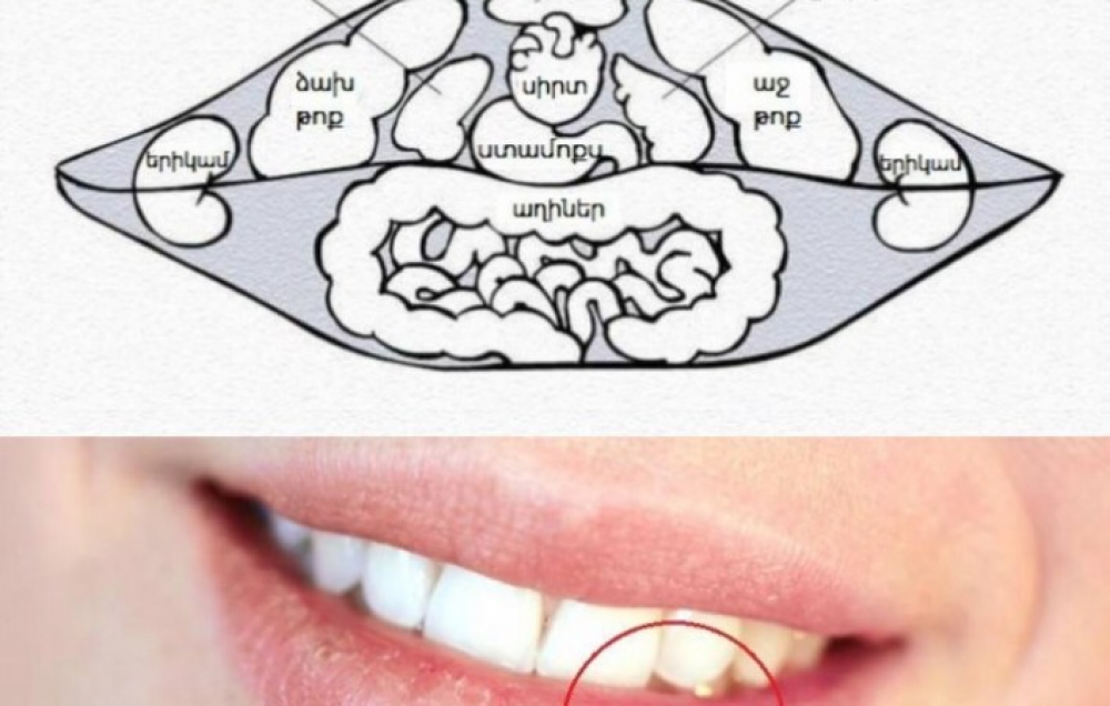 Ի՞նչ են բացահայտում շուրթերդ քո առողջության մասին