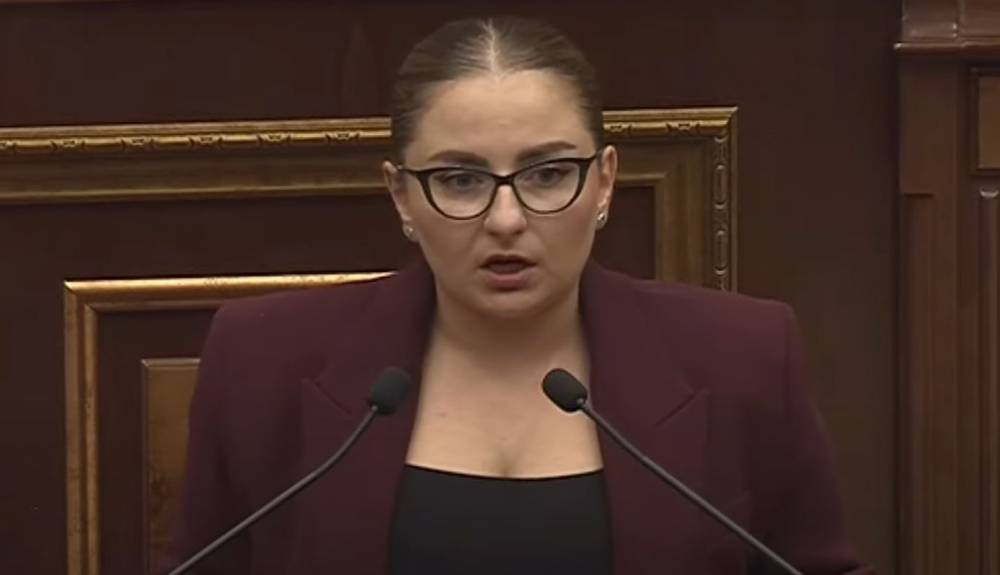 Իմ կալանքի հերթը ե՞րբ ա, մեր տանը արմատուրա կգտնեք, ես դաշնակցական եմ, դանակ էլ կա. Վարդանյան