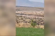 Ոստիկանները կանխել են Կողբավանում ապօրինի արդյունահանումը․ ՍՊԸ տնօրենը ձերբակալվել է (Տեսանյութ)