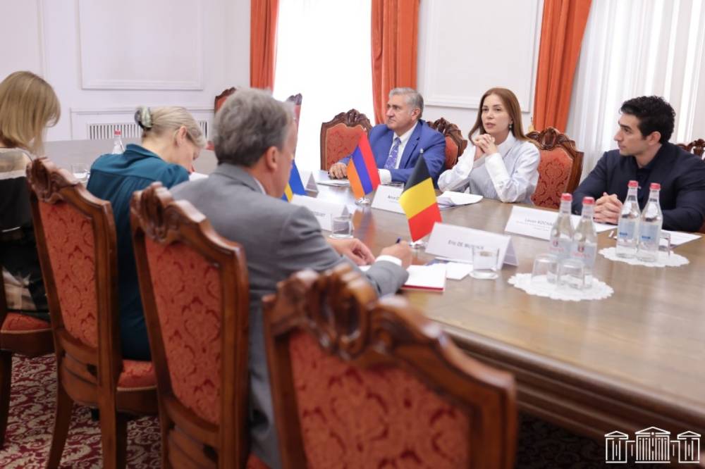 «Հայաստան» խմբակցության անդամները Շվեդիայի, Նիդերլանդների և Բելգիայի դեսպանների հետ հանդիպմանը բարձրաձայնել են քաղաքական հետապնդումների մասին