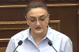 Չկա ԱԳՆ-ն, կա առևտրի նախարար Միրզոյան․ ընդդիմադիր պատգամավորի կոշտ քննադատությունը