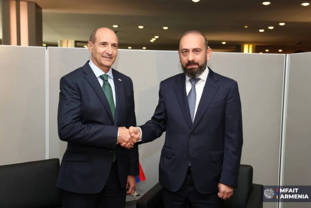 Արարատ Միրզոյանը և Քրիս Ֆերնը քննարկել են Հայաստանի և Մալթայի միջև հարաբերությունների զարգացման հարցերը