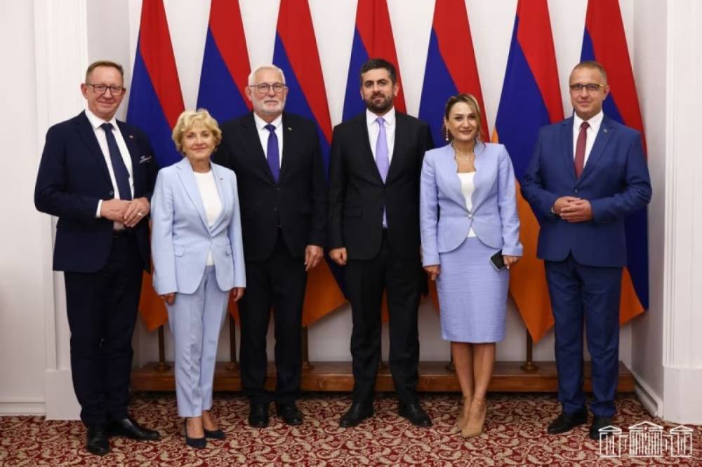 Հայ-լեհական համագործակցություն և «ԹՐԻՓՓ» նախագիծ․ քննարկումներ Ազգային ժողովում