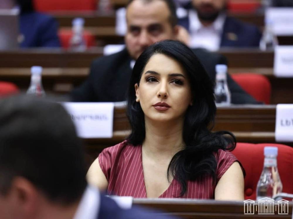 Իբրև թե դեպի Եվրոպա ձգտող ՔՊ-ական իշխանությունը ընտրել է մի մոտեցում, որով գնացել են այնպիսի երկրներ, ինչպիսիք են Թուրքիան, Ադրբեջանը, Պակիստանը, Նեպալը. Մարիաննա Ղահրամանյան
