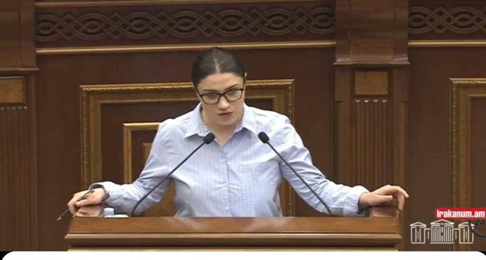 «Հանկարծ իմ ու գործընկերներիս հայրենասիրությունը կասկածի տակ չդնեք». ընդդիմադիր պատգամավոր