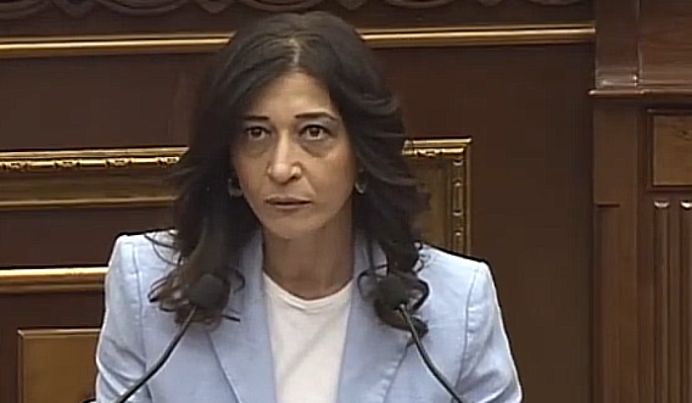 «Հանդարտվեք, կտեսնեք, իյա»․ Արփի Դավոյանը մատ թափ տվեց․ իրավիճակը լարվեց