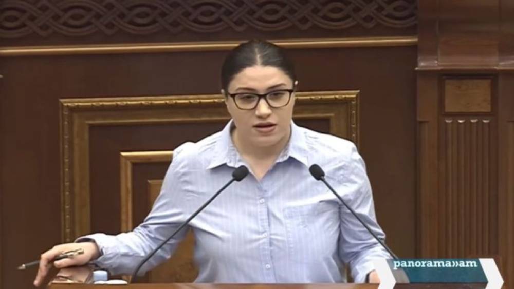 ԿԸՀ-ն դարձել է ՔՊ-ի մասնաճյուղ. Անուշ Միրզոյան
