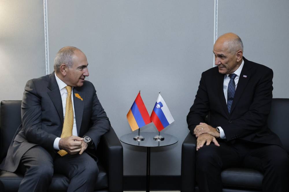 Փաշինյանն ու Սլովենիայի վարչապետը Հայաստանի տնտեսական դիվերսիֆիկացմանը վերաբերող հարցեր են քննարկել